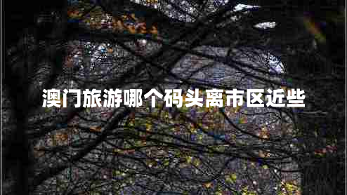 澳門旅游哪個(gè)碼頭離市區(qū)近些