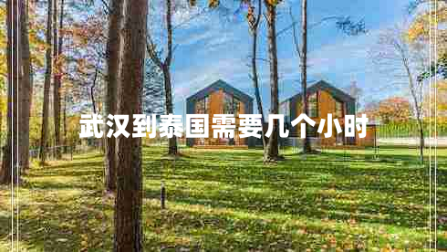 武漢到泰國需要幾個小時