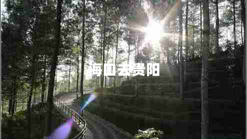 海口去貴陽