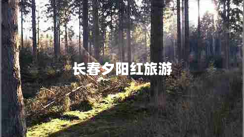 長(zhǎng)春夕陽(yáng)紅旅游