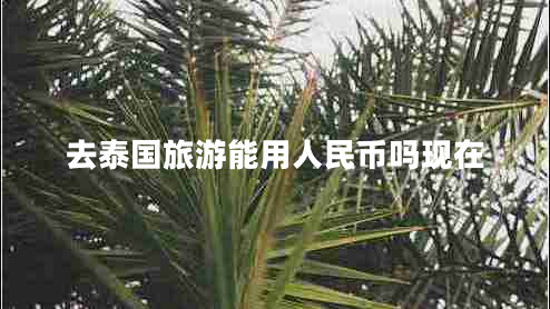 去泰國旅游能用人民幣嗎現(xiàn)在