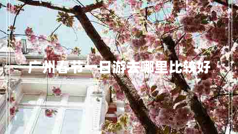 廣州春節(jié)一日游去哪里比較好
