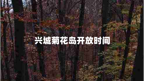 興城菊花島開放時間