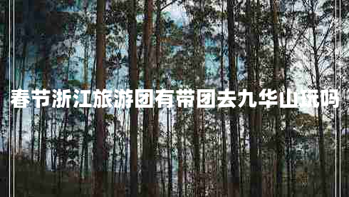 春節(jié)浙江旅游團(tuán)有帶團(tuán)去九華山玩嗎