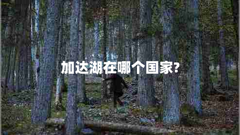 加達湖在哪個國家?