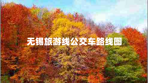 無錫旅游線公交車路線圖