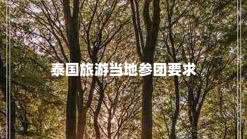 泰國(guó)旅游當(dāng)?shù)貐F(tuán)要求