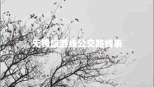 無錫旅游線公交路線表