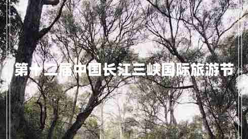 第十二屆中國長江三峽國際旅游節(jié)