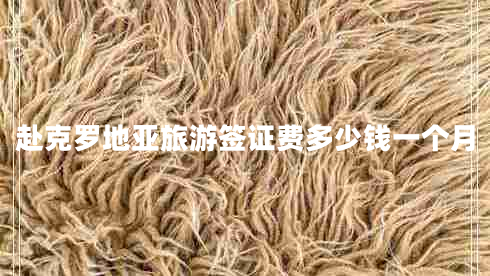 赴克羅地亞旅游簽證費(fèi)多少錢(qián)一個(gè)月