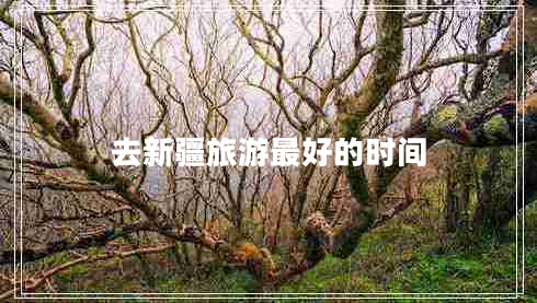去新疆旅游最好的時間