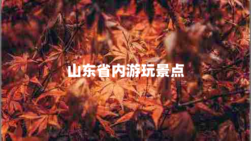 山東省內游玩景點