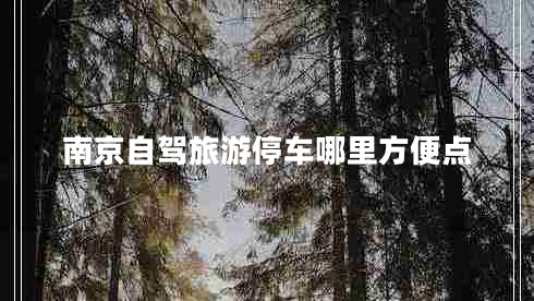 南京自駕旅游停車哪里方便點(diǎn)