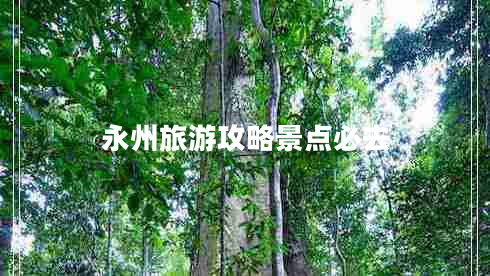 永州旅游攻略景點必去