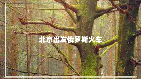 北京出發(fā)俄羅斯火車