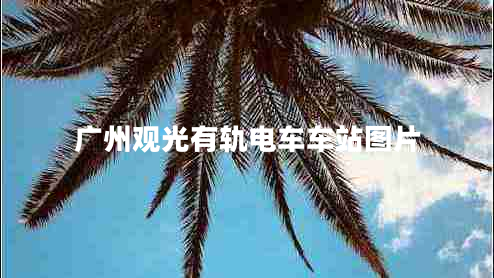 廣州觀光有軌電車車站圖片