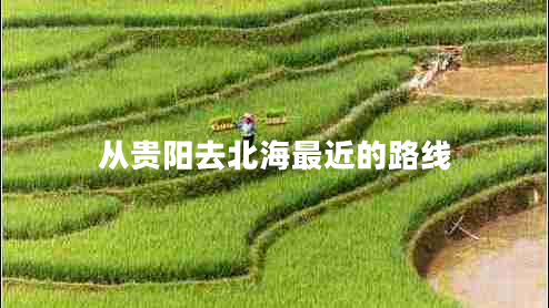從貴陽(yáng)去北海最近的路線