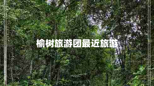 榆樹旅游團(tuán)最近旅游
