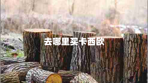去哪里買卡西歐