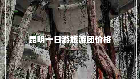 昆明一日游旅游團(tuán)價格
