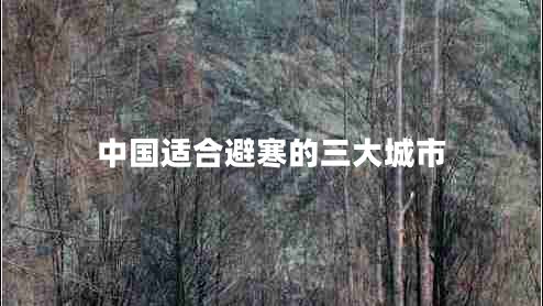 中國(guó)適合避寒的三大城市