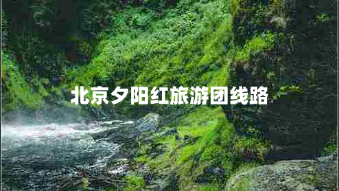 北京夕陽紅旅游團線路