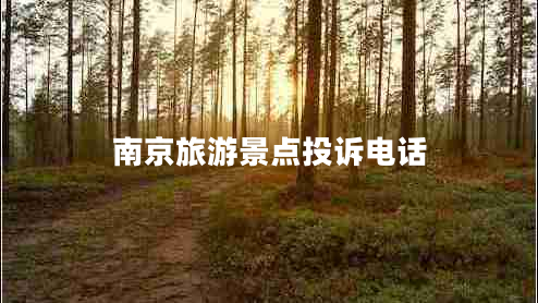 南京旅游景點投訴電話