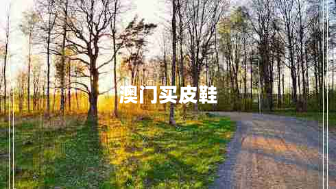 澳門買皮鞋