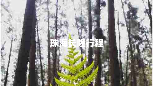 珠海長(zhǎng)隆行程