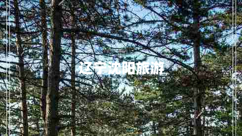 遼寧沈陽旅游
