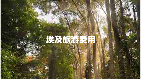 埃及旅游費(fèi)用