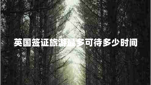 英國(guó)簽證旅游最多可待多少時(shí)間