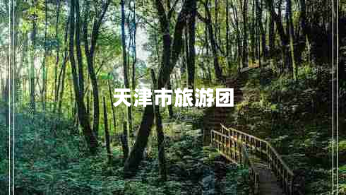 天津市旅游團(tuán)