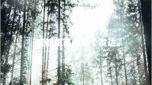 成都跟蘇州哪個發(fā)達