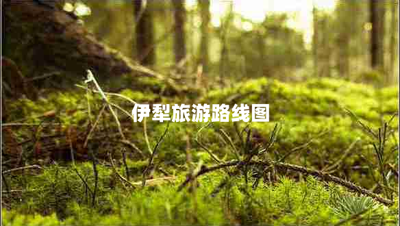伊犁旅游路線圖