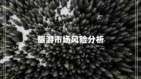 旅游市場風險分析