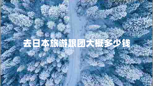 去日本旅游跟團(tuán)大概多少錢