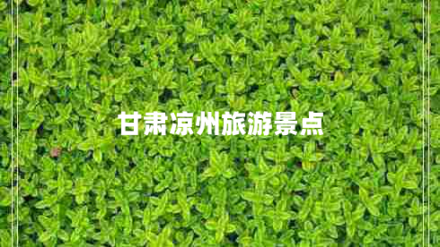 甘肅涼州旅游景點(diǎn)