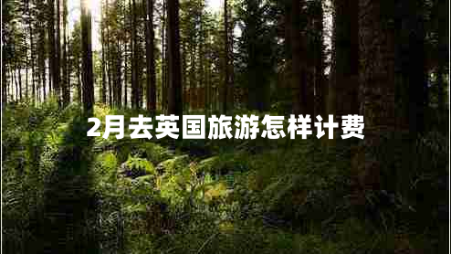 2月去英國旅游怎樣計費(fèi)