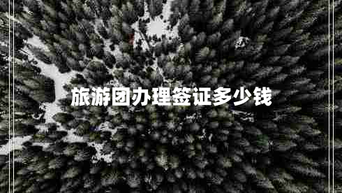 旅游團(tuán)辦理簽證多少錢