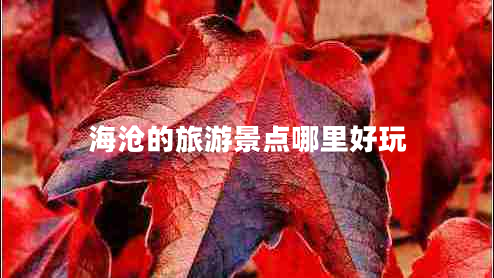 海滄的旅游景點哪里好玩