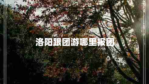 洛陽(yáng)跟團(tuán)游哪里報(bào)團(tuán)