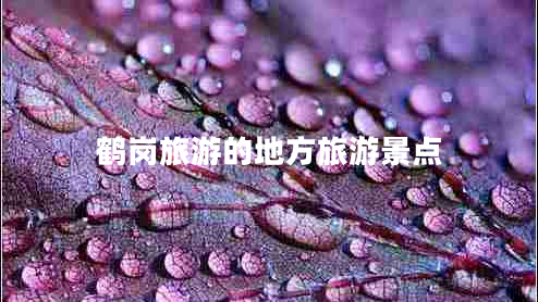 鶴崗旅游的地方旅游景點