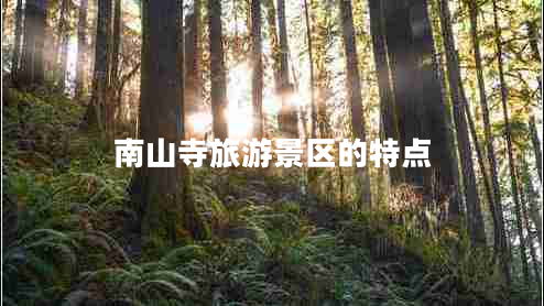 南山寺旅游景區(qū)的特點