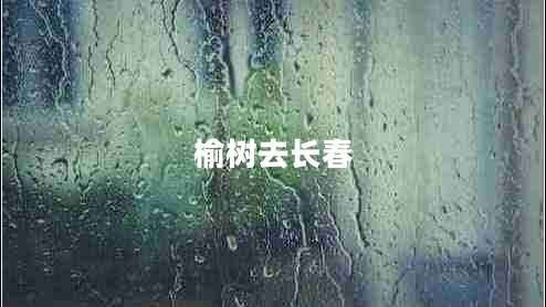 榆樹去長(zhǎng)春