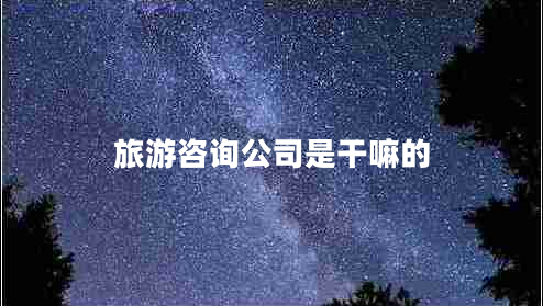 旅游咨詢公司是干嘛的