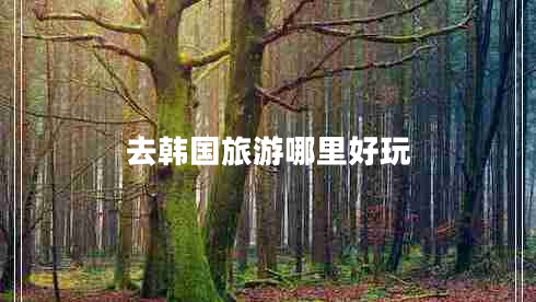 去韓國(guó)旅游哪里好玩