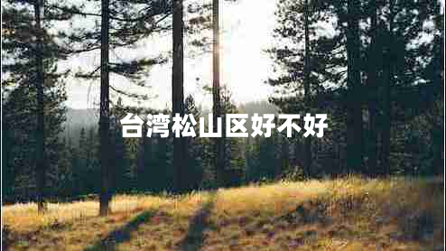 臺(tái)灣松山區(qū)好不好