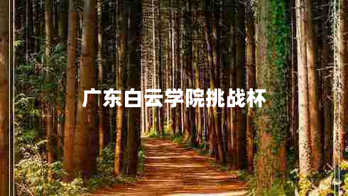 廣東白云學院挑戰(zhàn)杯