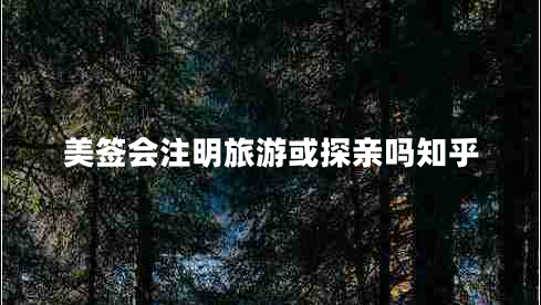 美簽會(huì)注明旅游或探親嗎知乎